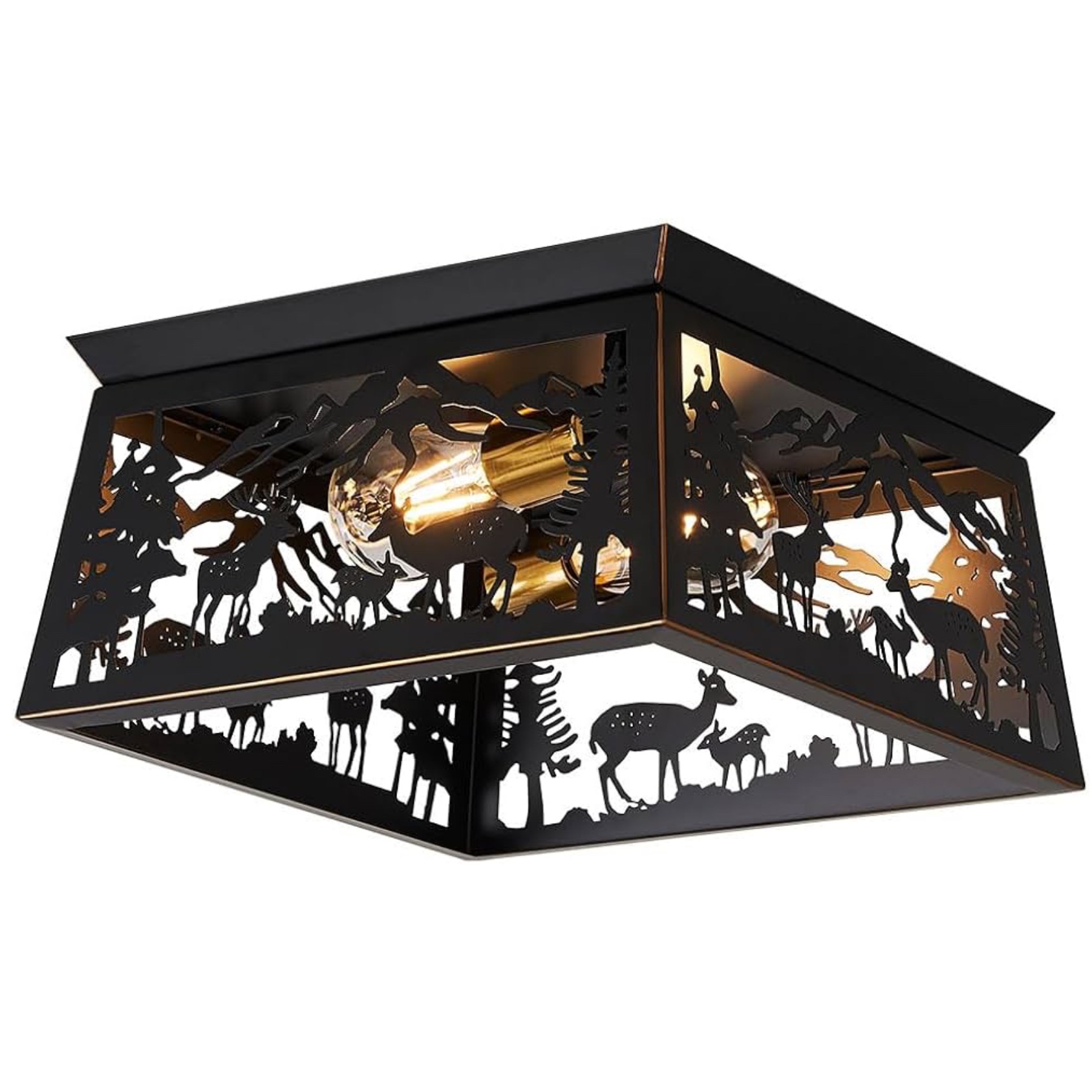 Black Semi Flush Mount Ceiling Light Fixture