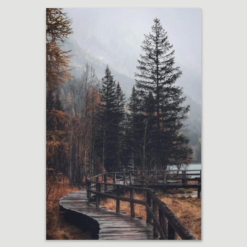 Autumn Fall " Autumn Dramatic Forest Landscape "