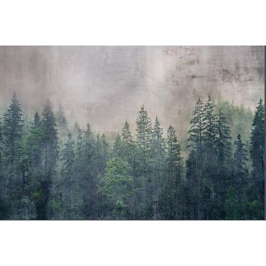 Dimex  Forest Abstract Trees Wall Mural