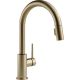Delta 9159-ar-dst Trinsic Pull-down Kitchen Faucet With