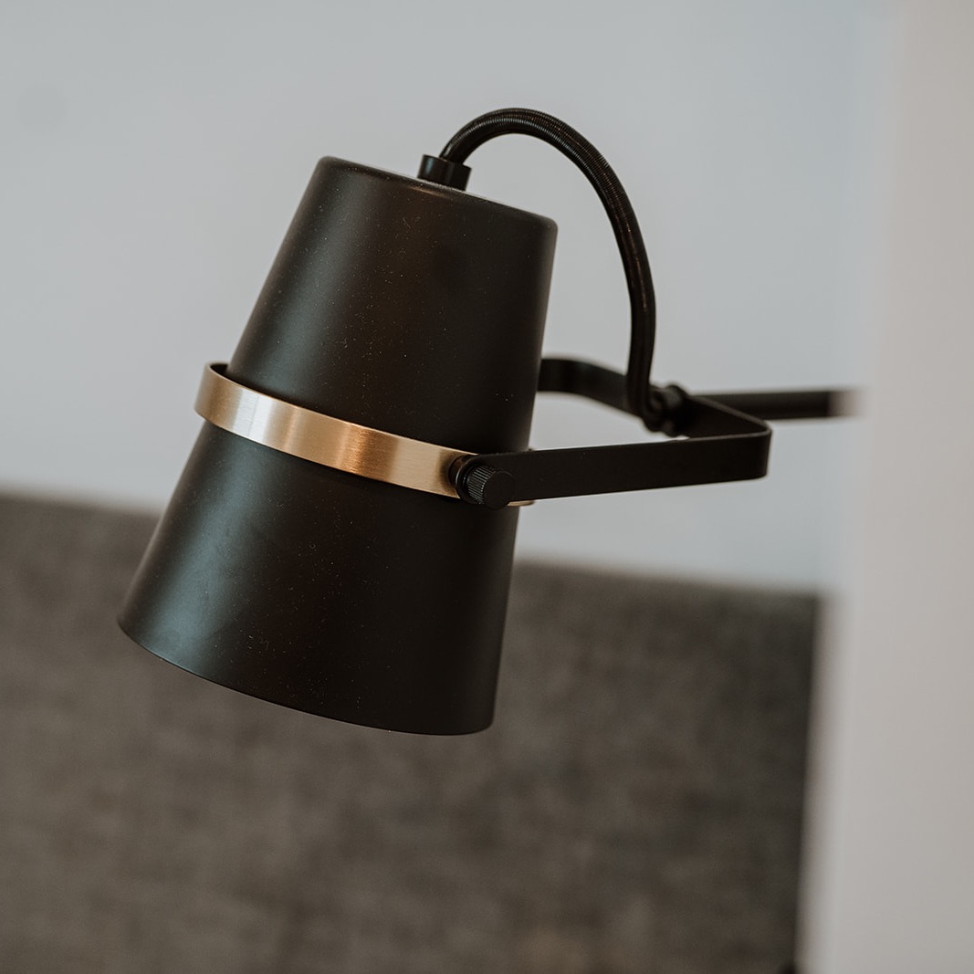 Swing Arm Light