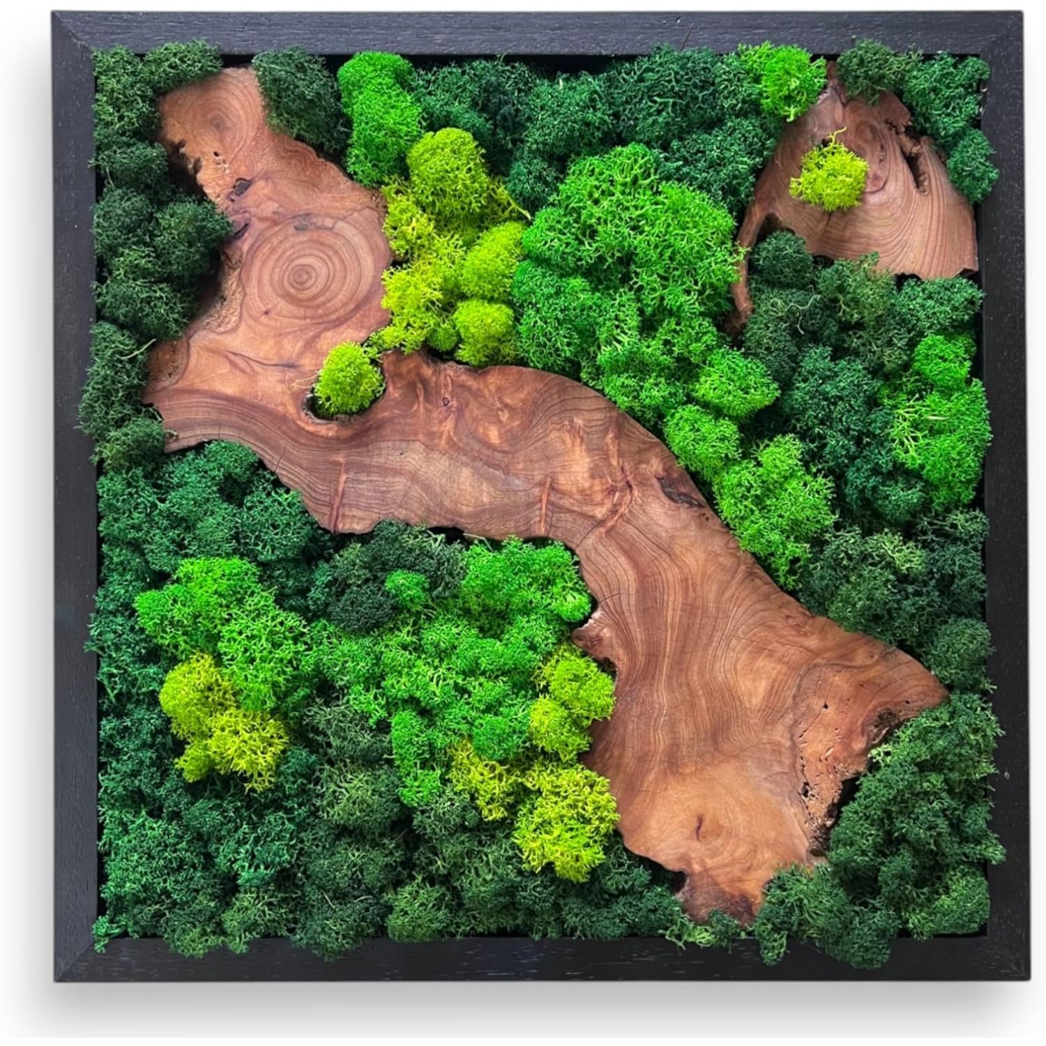 Serenzy 16" Square Cedar & Preserved Moss Wall Art | Unique No-Maintenance Decor for Home, Office, Restaurant, Natural Scattered Wood