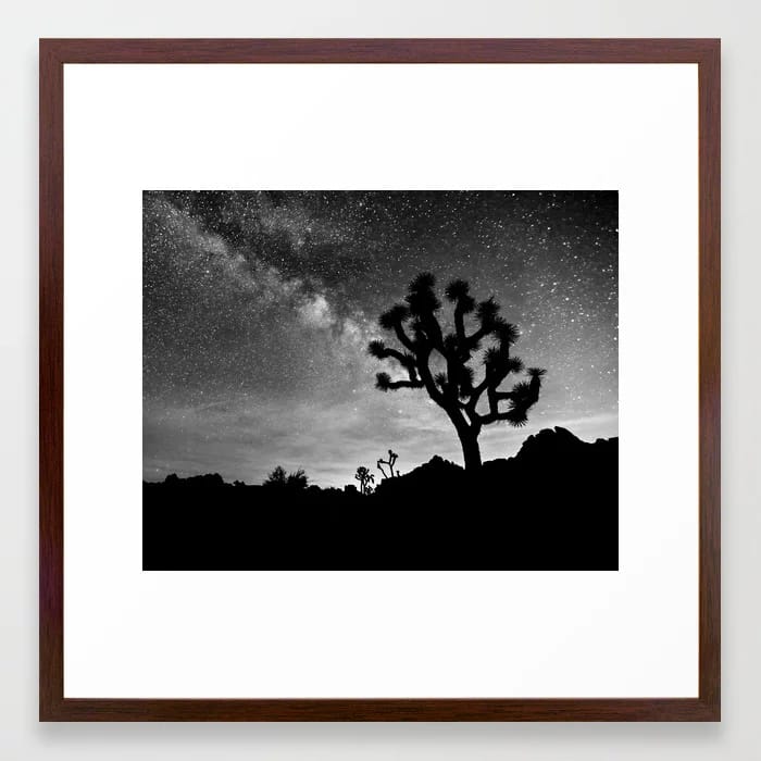 Joshua Tree Milky Way 7-15-14 B&W Framed Art Print