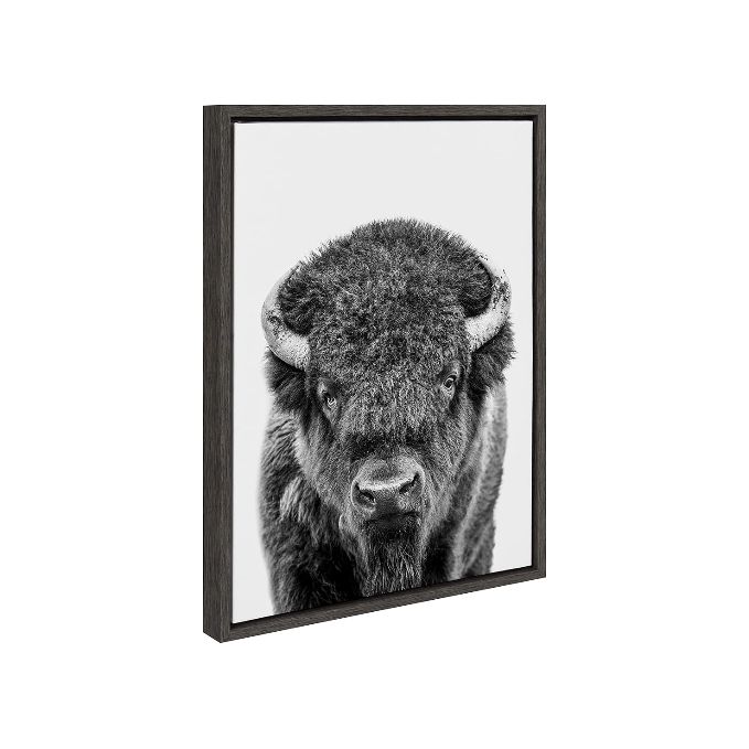 Bison Art