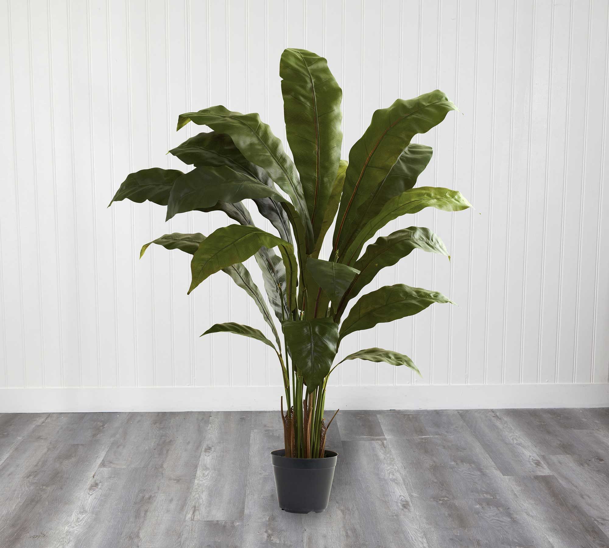 Faux Potted Birds Nest Plant