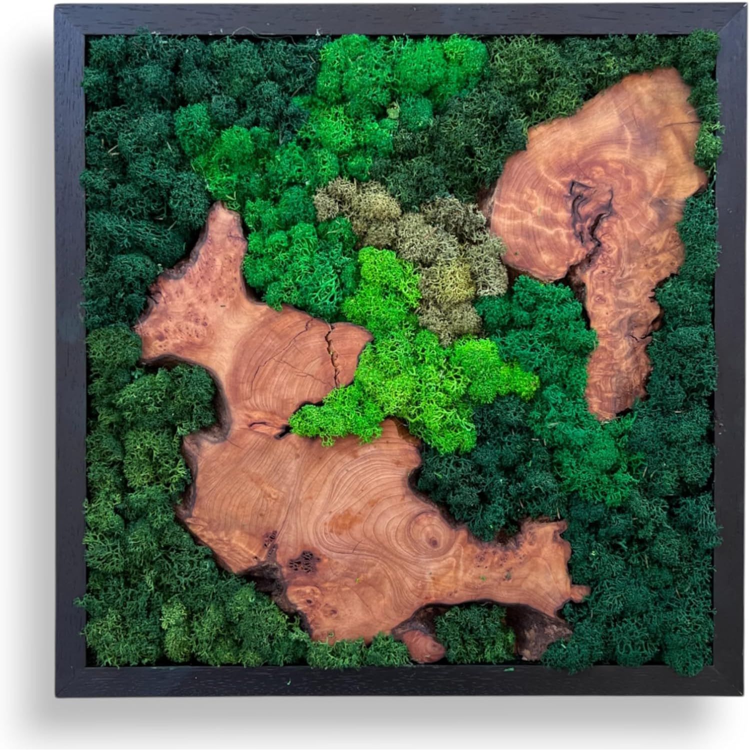 Serenzy 16" Square Cedar & Preserved Moss Wall Art | Unique No-Maintenance Decor for Home, Office, Restaurant, Diagonal Wood Pair