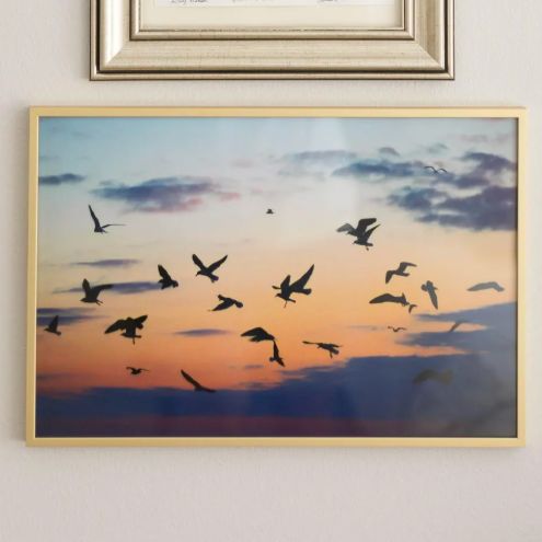 Sunset Seagulls Photograph Dramatic
