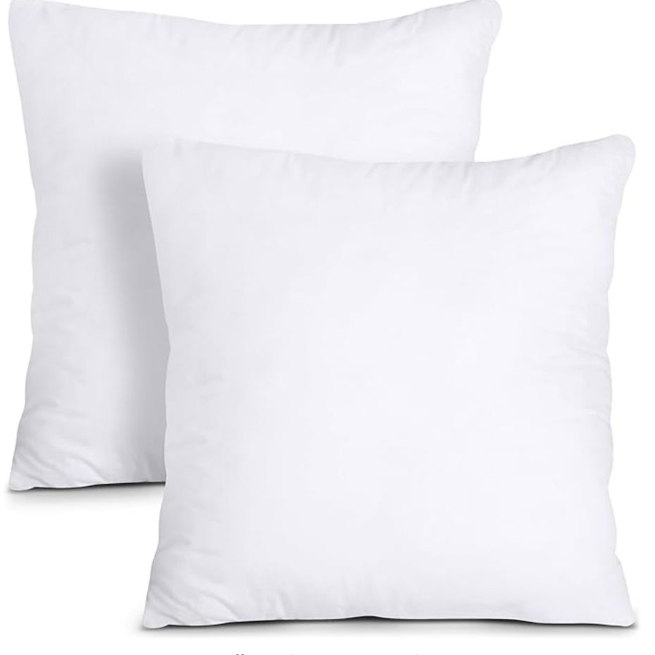 Bedroom Throw Pillows Insert pack Of 2  26 x 26 