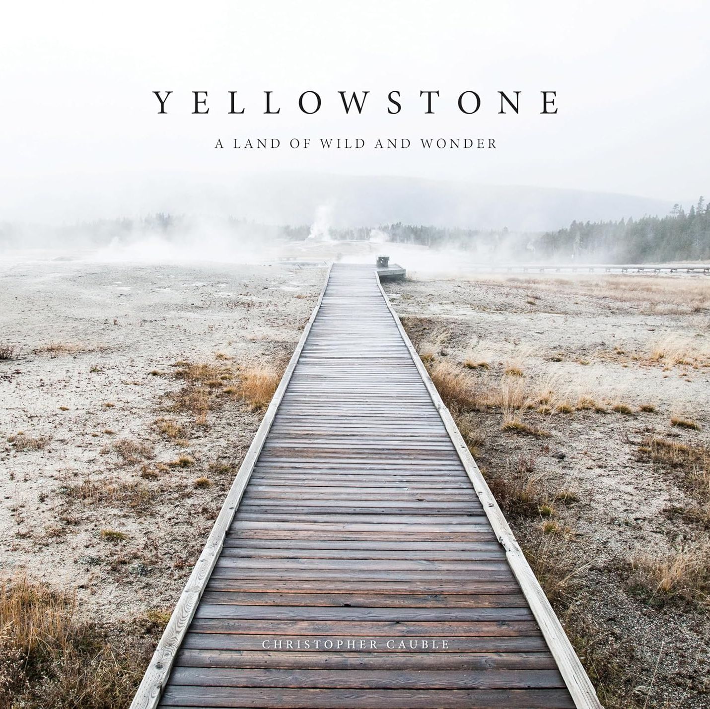 Yellowstone Hardcover