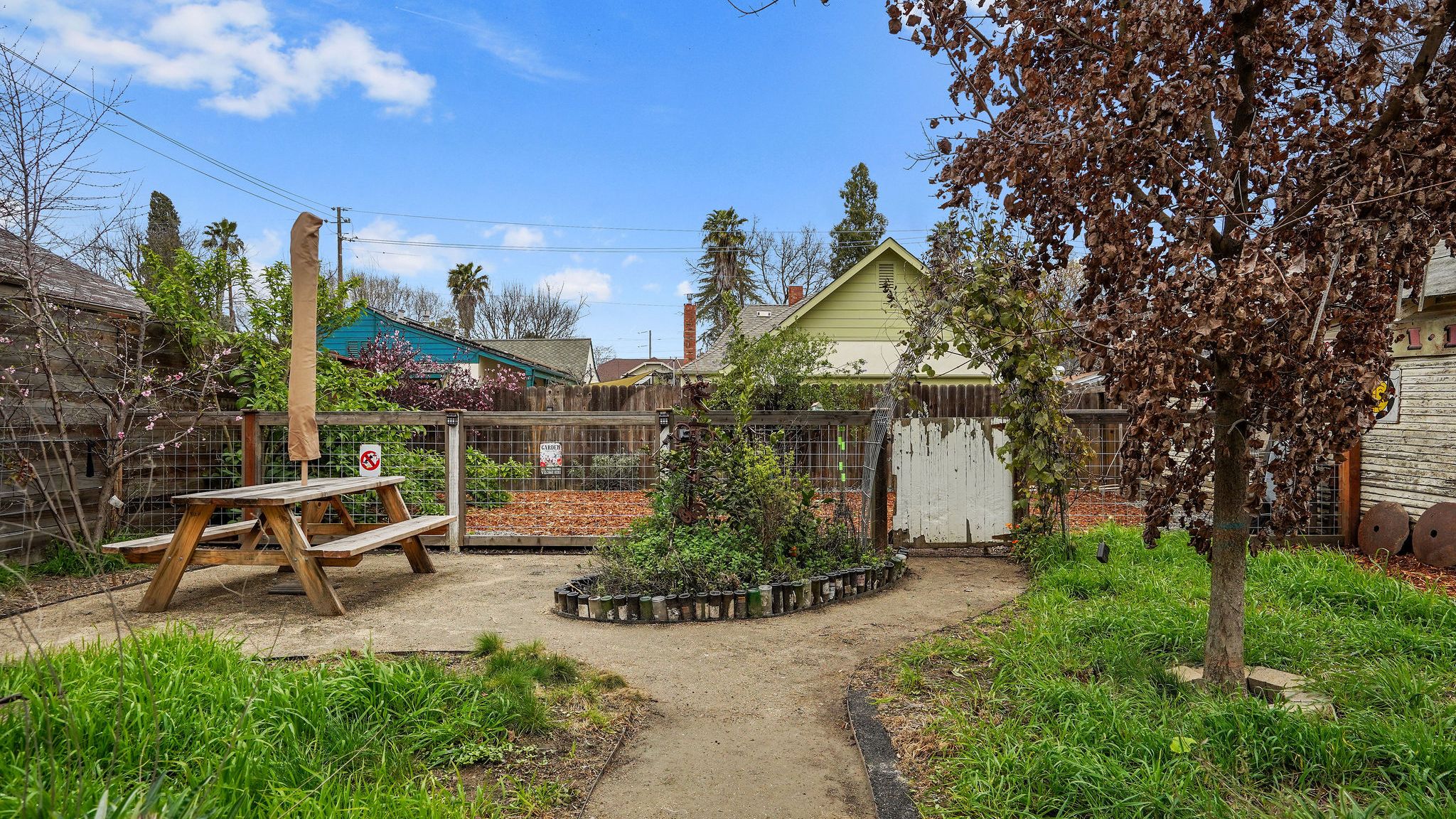 Backyard