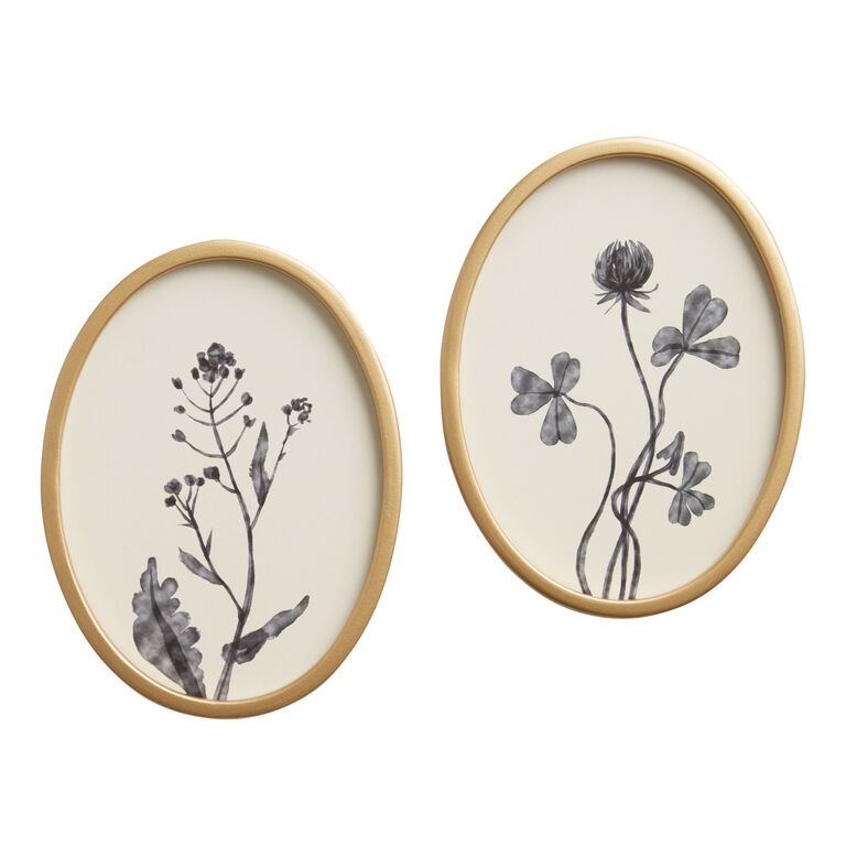 Blue Oval Botanicals by Dan Hobday Framed Wall Art 2 Piece