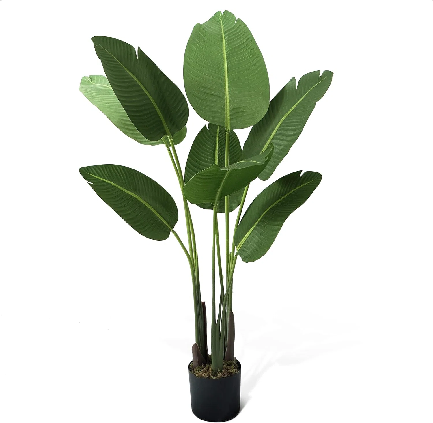 Caphaus Artificial Bird of Paradise in Pot with Dried Moss, Uv Resistant, 4 / 5 / 6 / 7 Feet