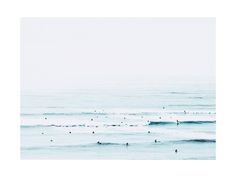The Sunday Blues - Photo By Summer Strauch