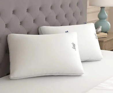 Sealy Sterling Collection Down-alternative Pillow, 2-pack