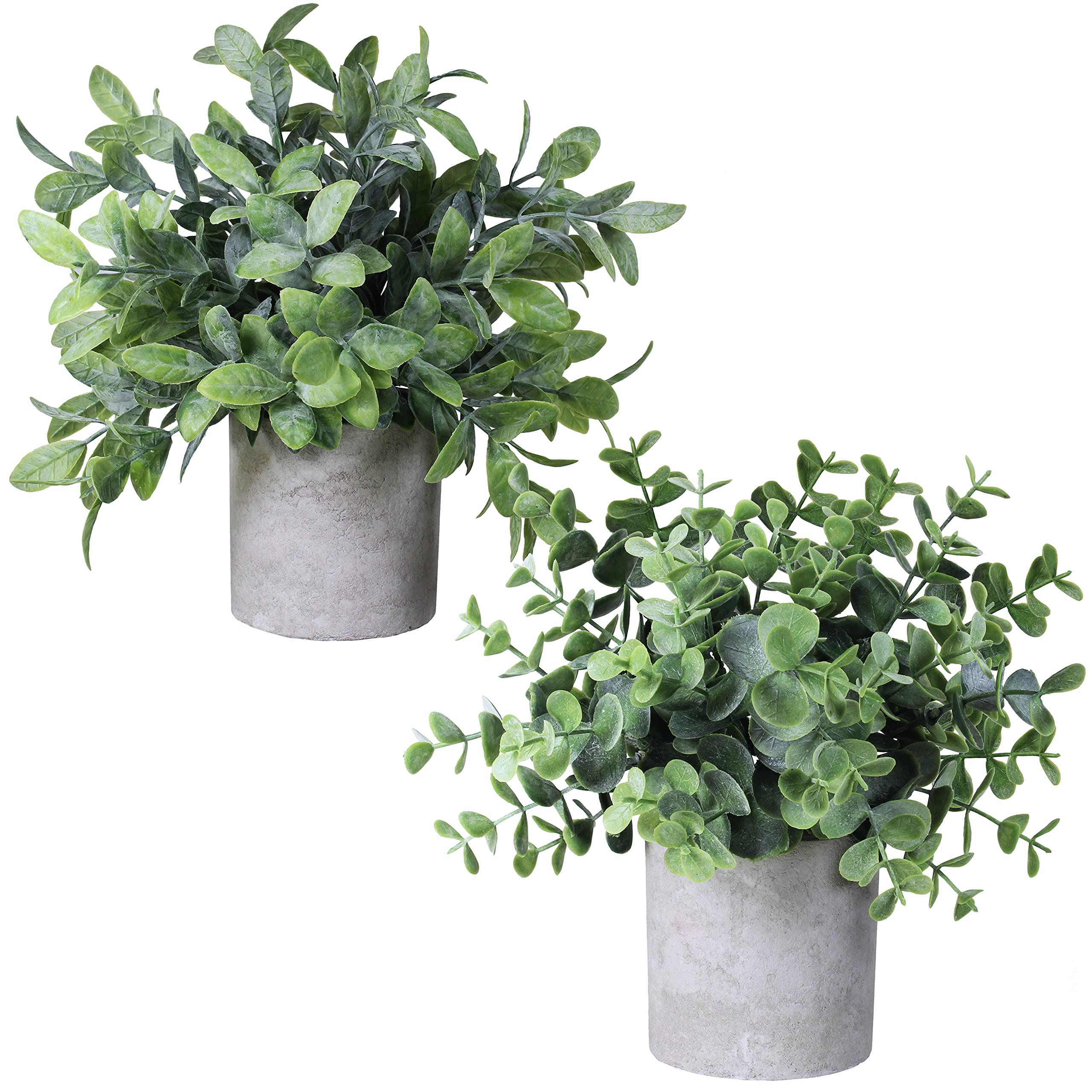 Winlyn Set Of 2 Faux Mini Potted Plants Artificial Eucalyptus Boxwood Plants In Pots Fake Greenery Arrangement For Rustic Farmhouse Indoor Table Centerpiece Mantel Shelf Kitchen Office Desk Decor : Home & Kitchen