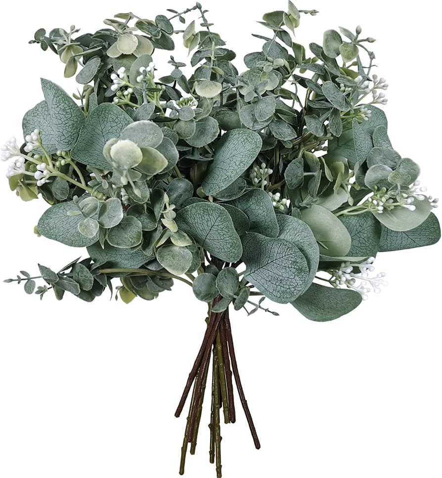 Bulk Artificial Silver Dollar Eucalyptus Leaves Picks Stems And Faux Branches For Vase Bouquets Floral Arrangement Wreath Rustic Farmhouse Greenery Decoration : Home & Kitchen
