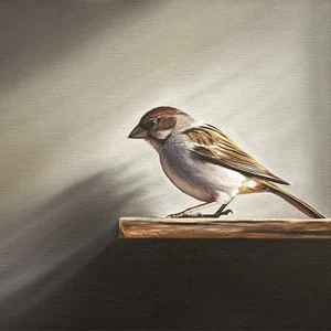 Sparrow Bird Oil Painting Signed Fine