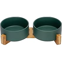 Ceramic Dog Bowl With Wood Stand