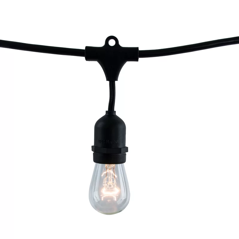 Birch Lane Galena 48 Ft Outdoor 15 Bulb Standard String Light End To End Connectable