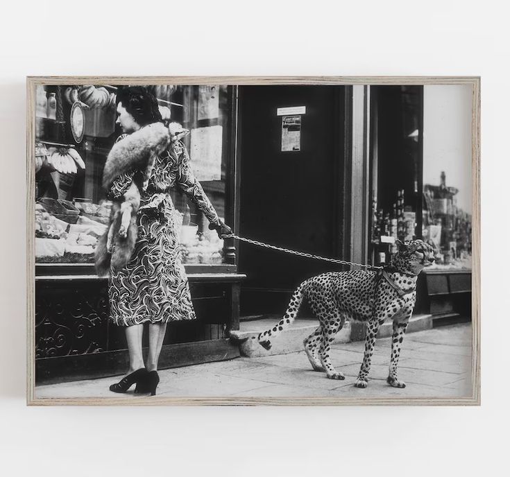 Leopard On Leash Black And White Art