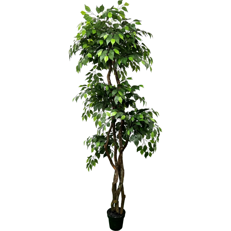 Artificial Ficus Tree