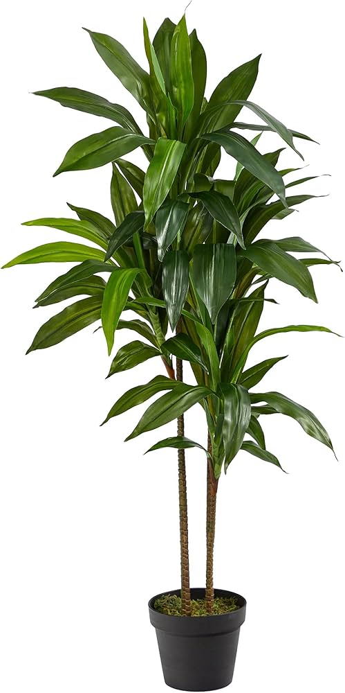 Fake Plant