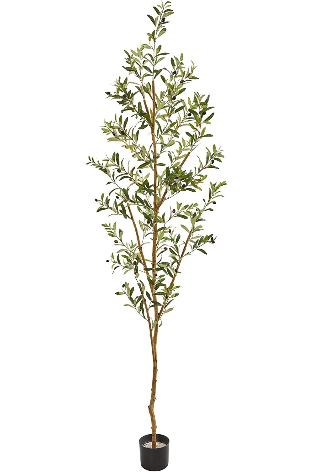 Nearly Natural 82” Olive Artificial Silk Trees Green : Home & Kitchen