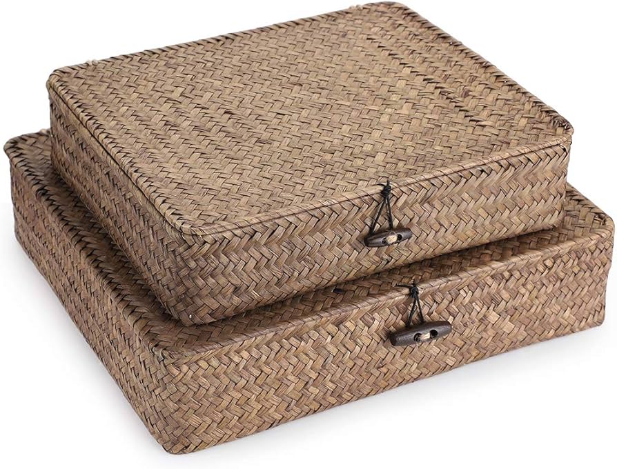Hipiwe Set Of 2 Flat Woven Wicker Storage Bins With Lid Natural Seagrass Basket Multipurpose Home Boxes For Shelf Organizer (coffee) : Home & Kitchen