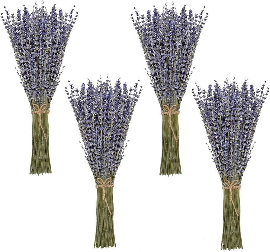 Timoo Dried Lavender Bundles 100 Natural Dried Lavender Flowers For Home Decoration