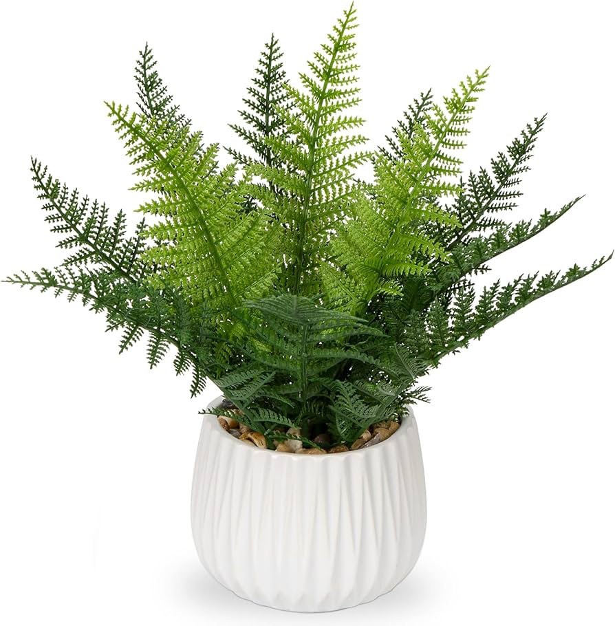 Dilatata Faux Plant Indoor In Ceramic Pot 13" Artificial Potted Fern Fake House Plants For Desk Office Bathroom Garden Decoration : Home & Kitchen