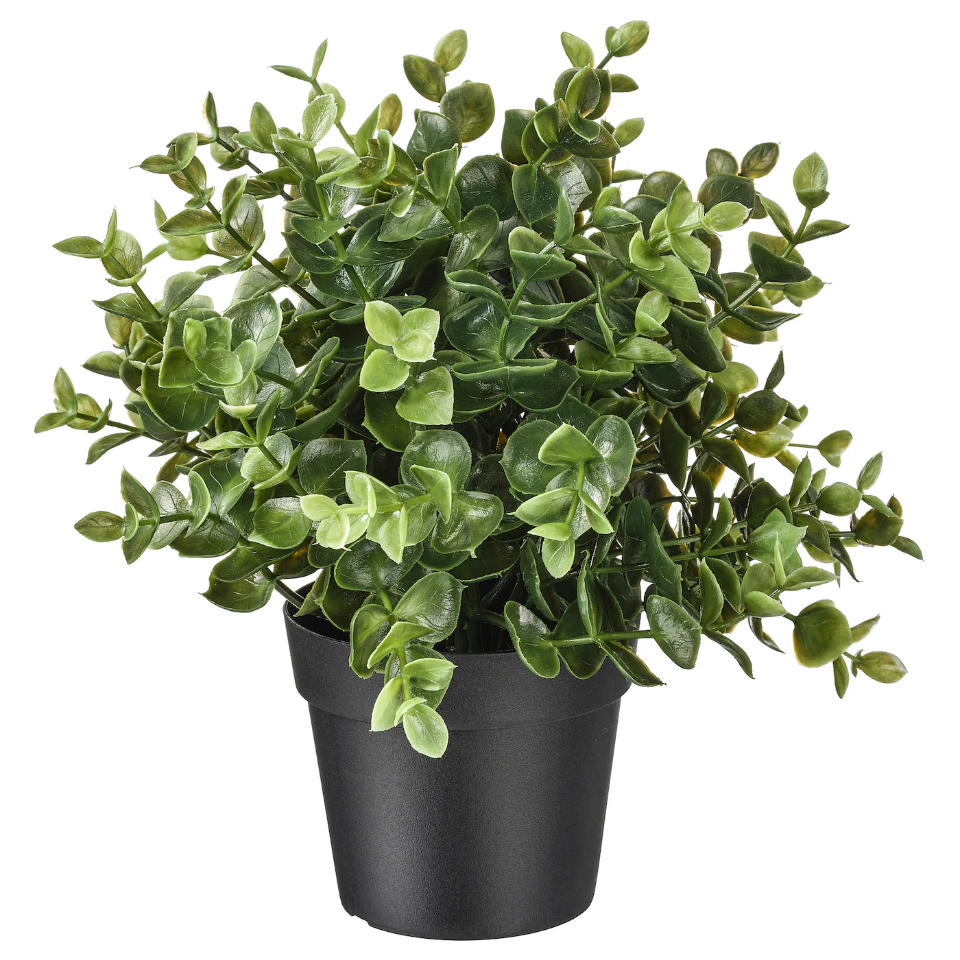 Fejka Artificial Potted Plant, Oregano, 3 ½