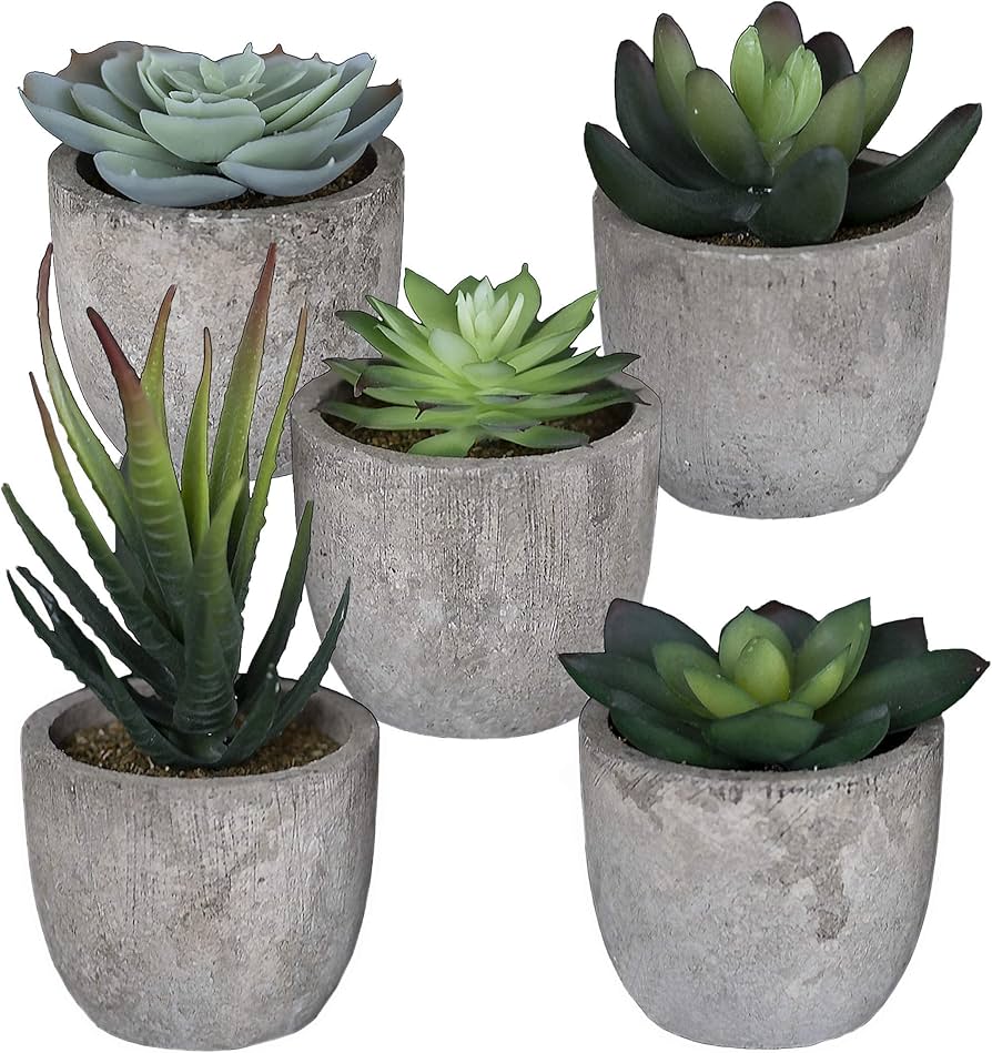 Set Of 5 Succulents Plants Artificial Small Fake Plants Bedroom Aesthetic
