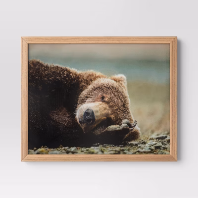 20" X 16" Bear Photography Framed Art Brown - Threshold™: Frame, Animal Wall