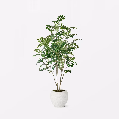 Moringa Artificial Tree Green - Threshold™ Designed With Studio Mcgee: Unlit, Polyester, Indoor Decor, No Assembly
