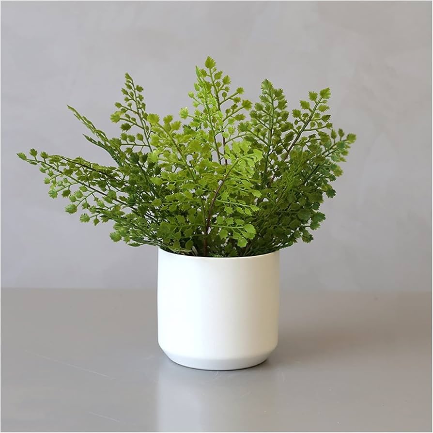Zhtaisou Faux Plants Artificial Potted Plants Simulation Fern Plants Bushes And White Ceramic Basin For House Office Garden Indoor Decor House Office Home Decoration(d) : Home & Kitchen