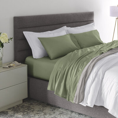 Essential Fit Cotton Sheet Set