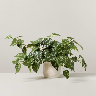 10" Faux Satin Variegated Pothos Plant - Hearth & Hand™ With Magnolia: Indoor Decorative Artificial Foliage In Off-white Pot