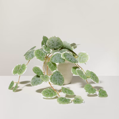 7.5" Mini Faux Variegated String Of Hearts Plant - Hearth & Hand™ With Magnolia