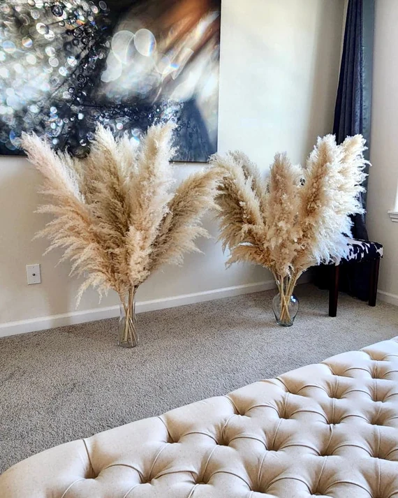 5 Stems Tall Pampas Grass 2 4ft Grand