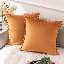 Ashler Throw Pillow Cases With Soft Pom Poms Velvet Plush Vibrant Elegant Cushion Covers