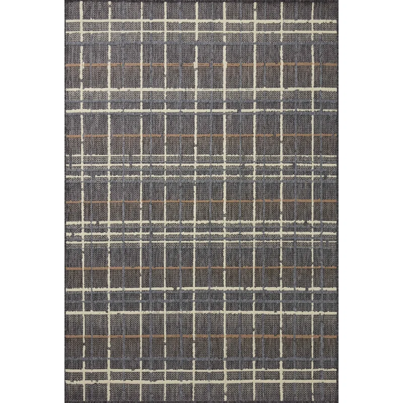 Pesina II Charcoal / Multi Indoor/Outdoor Area Rug