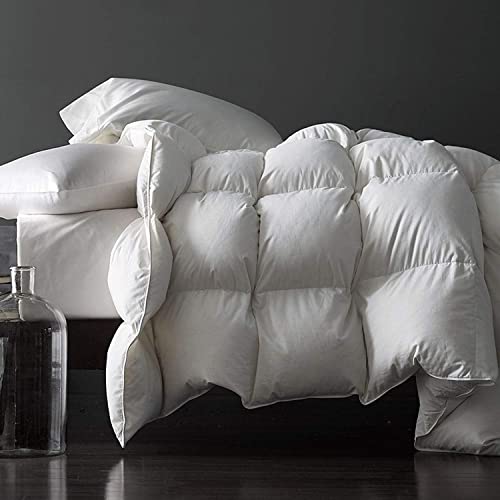 Queen Duvet Insert