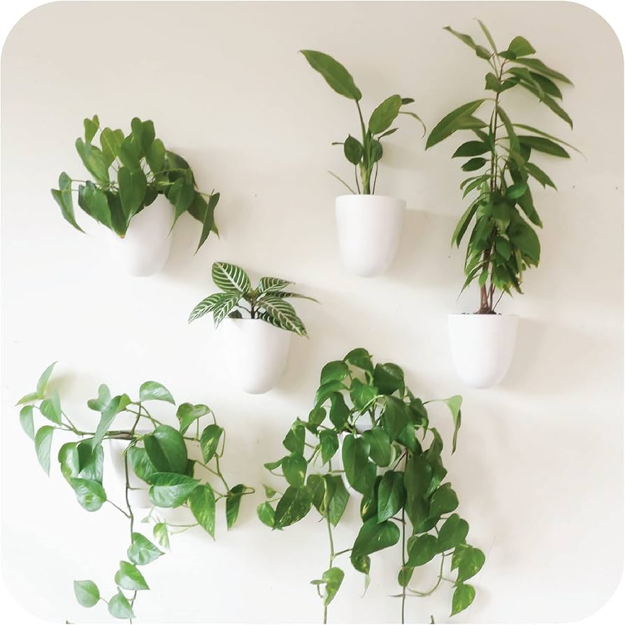 Plantpod Luxe - Self-watering Wall Planters (set Of 6) - Easy To Water And Install - Lightweight - Design Your Own Vertical Garden - Wall Planters For Indoor Plants : Patio