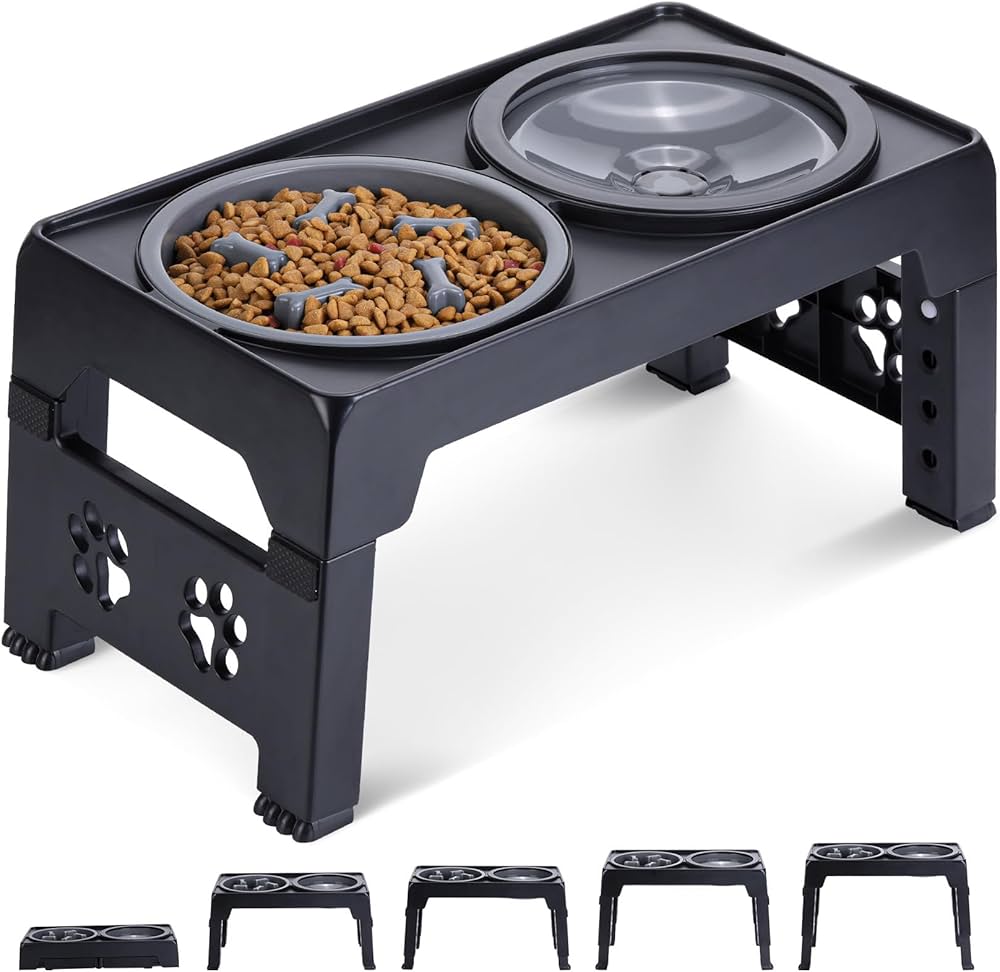 Pet Supplies : Laloblue Elevated Dog Bowls