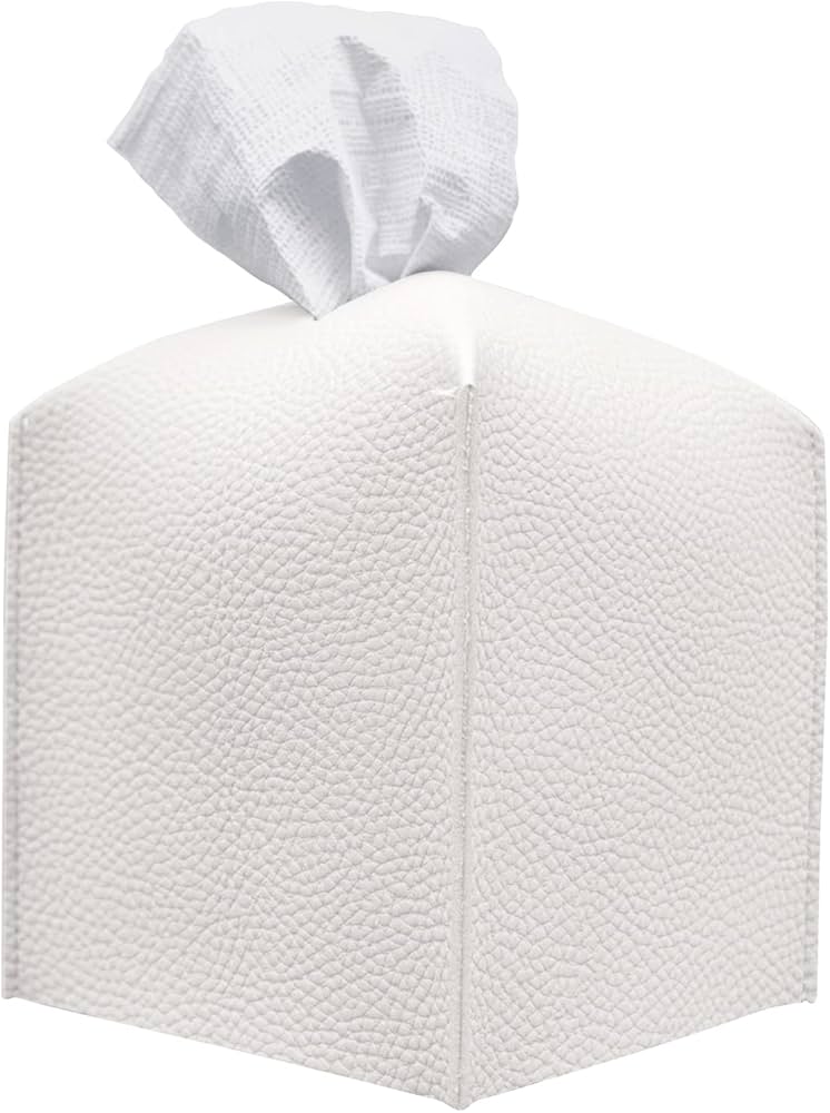 Carrotez Tissue Box Cover