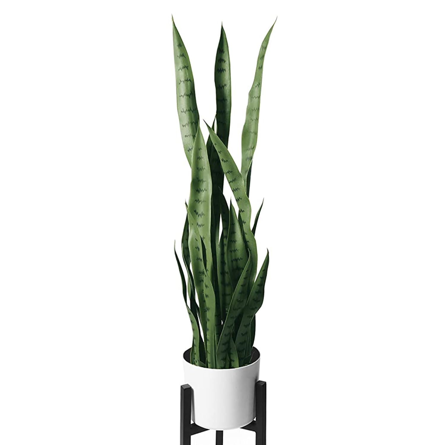 Flybold Artificial Fake Snake Plants - Faux Indoor Plant - Modern Decor Artificial House Plant - Large Faux Sansevieria Plant With 28 Tall Leaves - Includes White Pot And Tripod - Green - 36in : Home & Kitchen