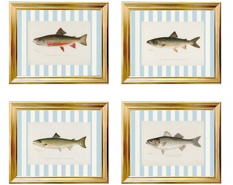 Set Of 4 Vintage Fish Prints Southern