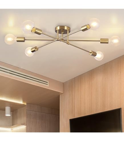Flamwild Ceiling Light Fixture