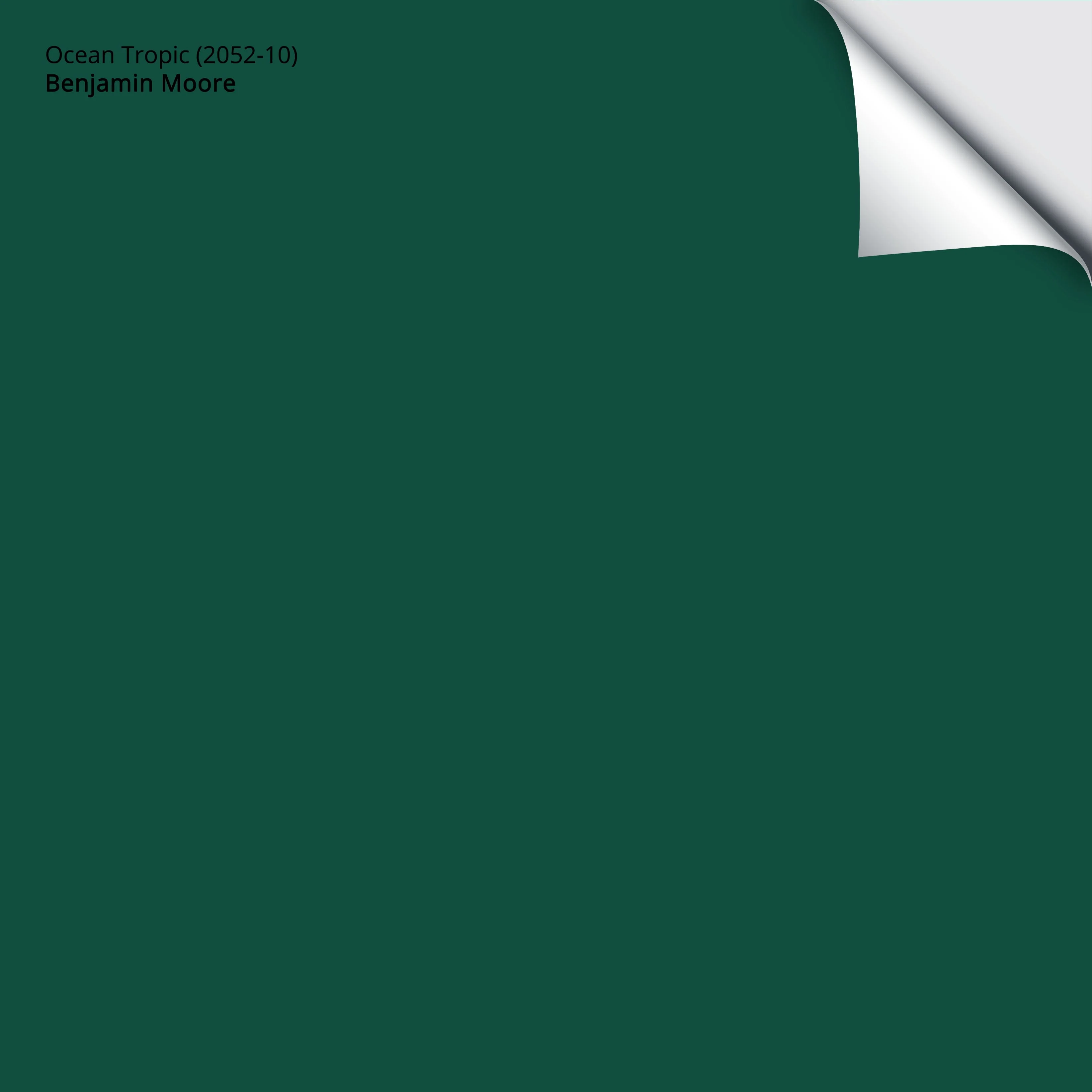 Ocean Tropic 2052-10