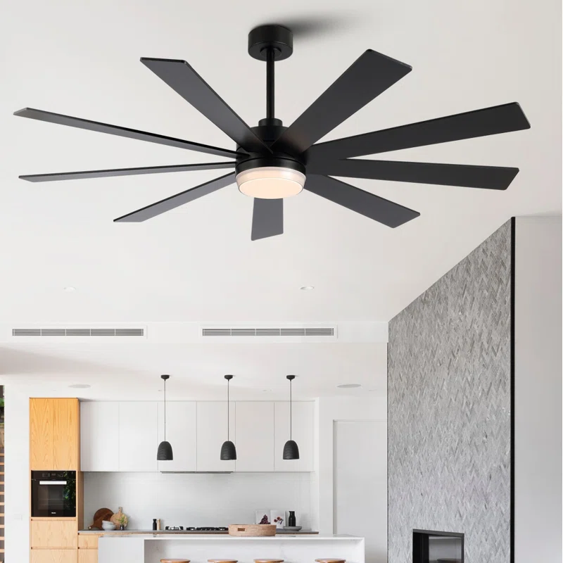 Babrak 65'' Ceiling Fan with LED Lights
